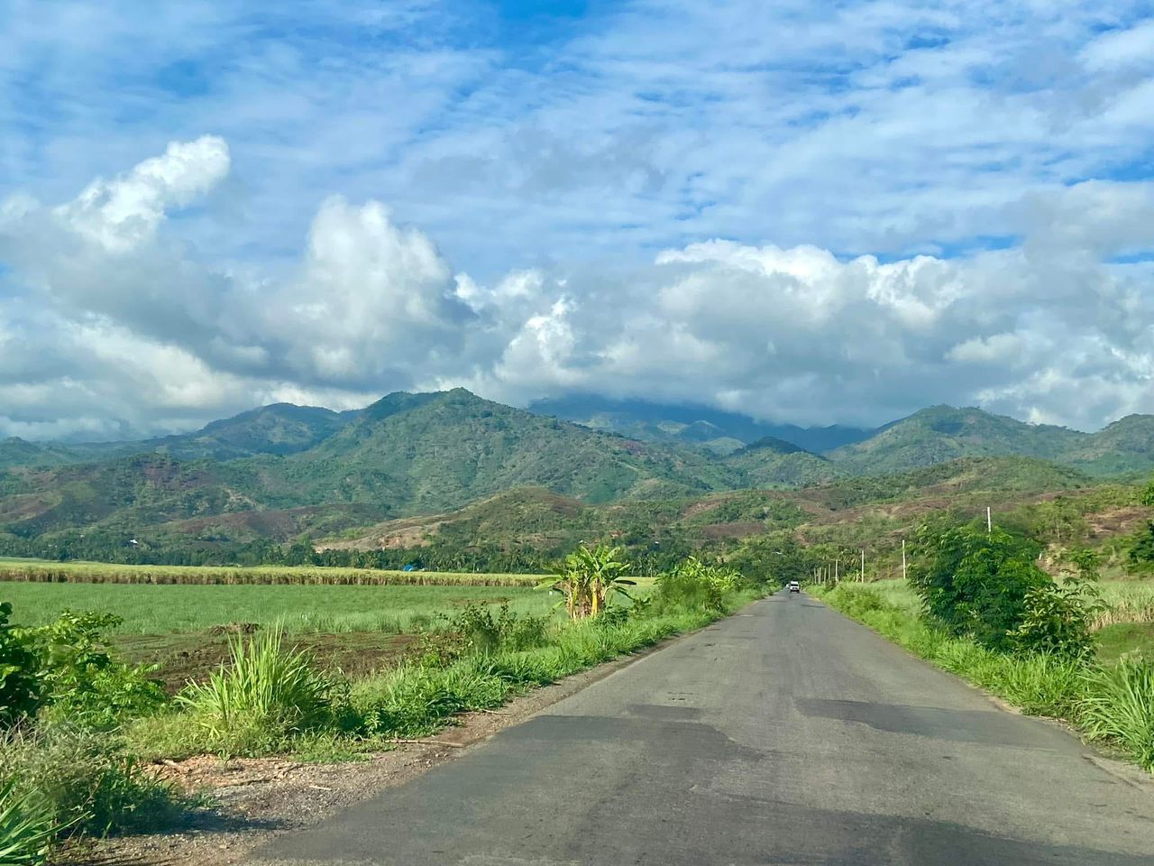 Udzungwa